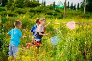 Kids chasing butterflies in a field at Cades Cove