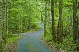 Roaring Fork Motor Nature Trail road in the Great Smoky Mountains National Park