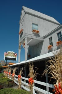 Dixie Stampede Dinner Show in Pigeon Forge