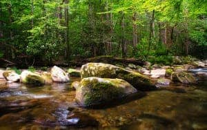 Rock formations in a stream in the Smoky Mountains