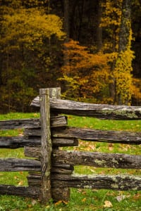 Fall color behind a fence in the Smoky Mountains National Park