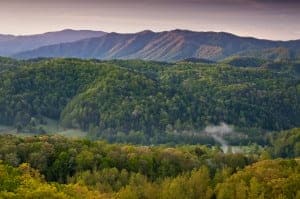 Great Smoky Mountains National Park on a spring morning