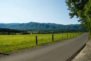 Sunny view from the Cades Cove Road