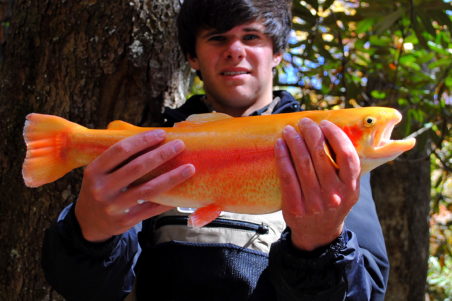 Fly Fishing the Smokies