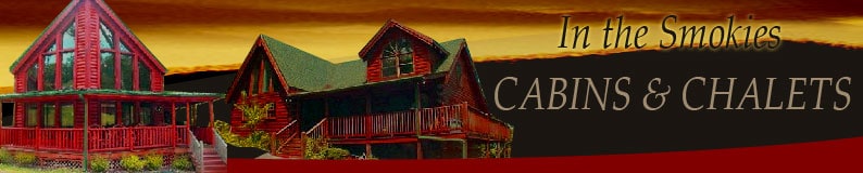 In The Smokies Cabins & Weddings
