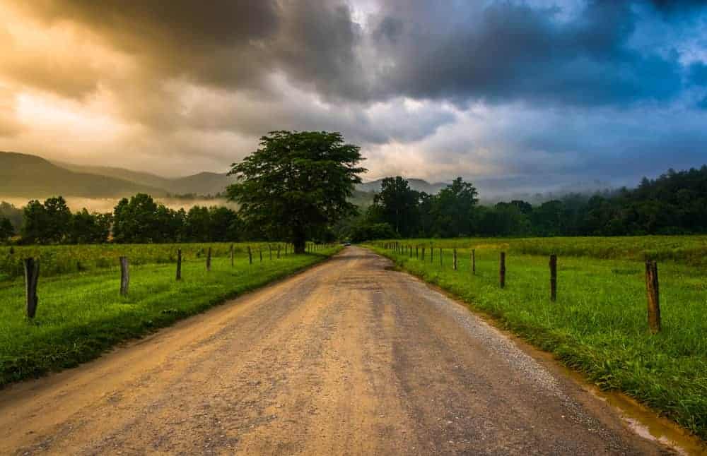 Cades cove in June