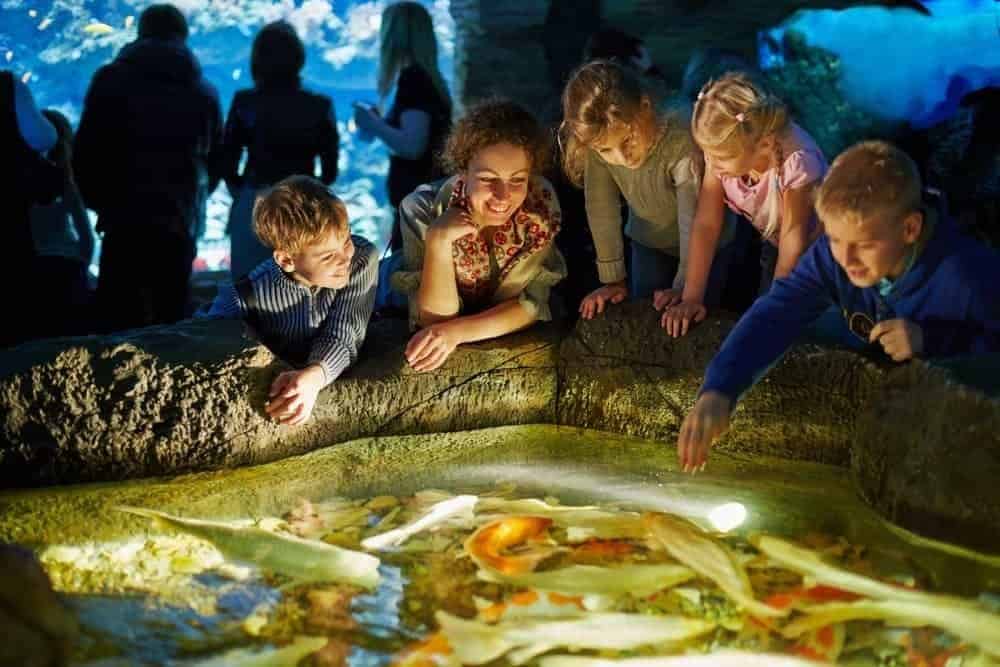 A family enjoying the Gatlinburg aquarium.