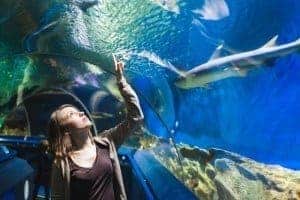 A young woman experiencing Shark Lagoon at the Gatlinburg aquarium.