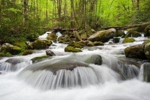 Great Smoky Mountains National Park Roaring Fork Motor Nature Trail Cascade at one of the best national parks in USA.