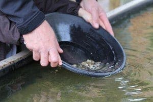 Panning for gems is one of the fun things to do in Wears Valley TN.