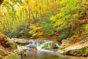 Smoky Mountains in the fall