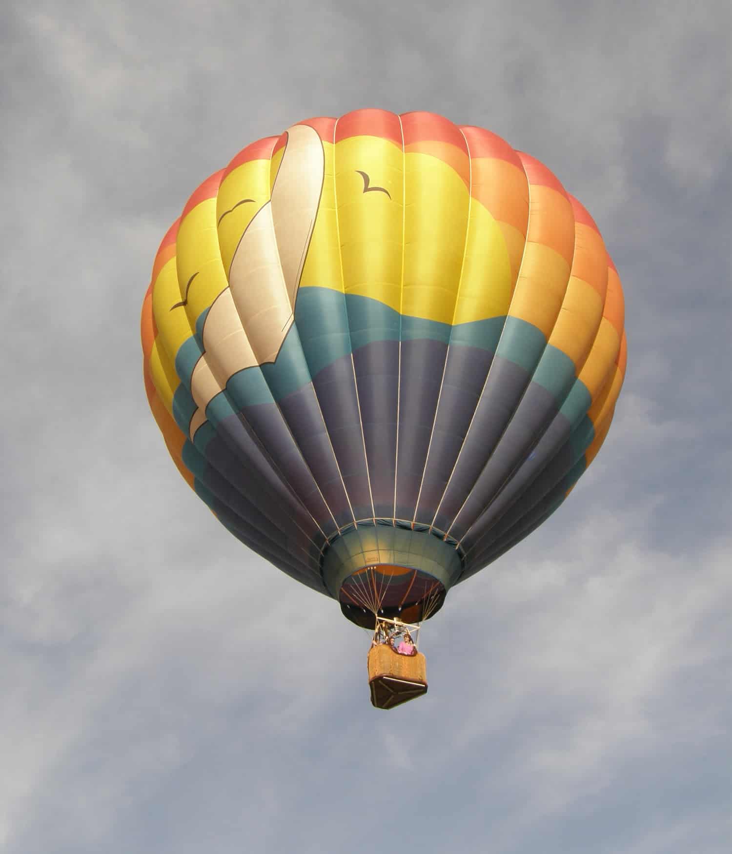What's Up Ballooning