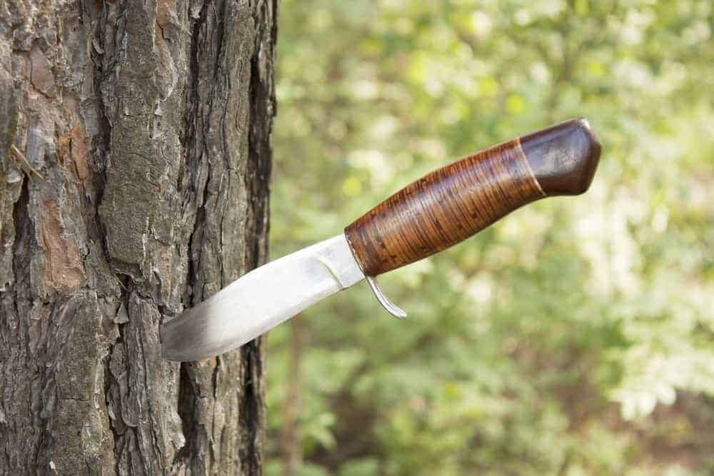 A hunting knife from Smoky Mountain Knife Works lodged in a tree.