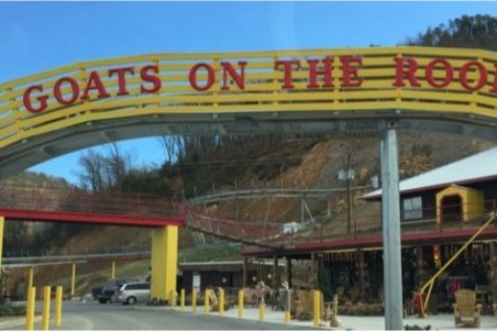 The Coaster at Goats on the Roof