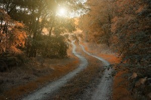 view of Smoky Mountain road in the morning