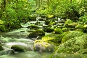 view of waterfall in the Great Smoky Mountains