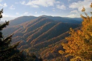 Beautiful fall foliage in the Great Smoky Mountains.