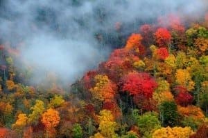 Incredible fall colors in the mountains of Gatlinburg.