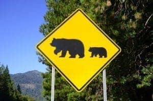 Smoky Mountain bear crossing sign