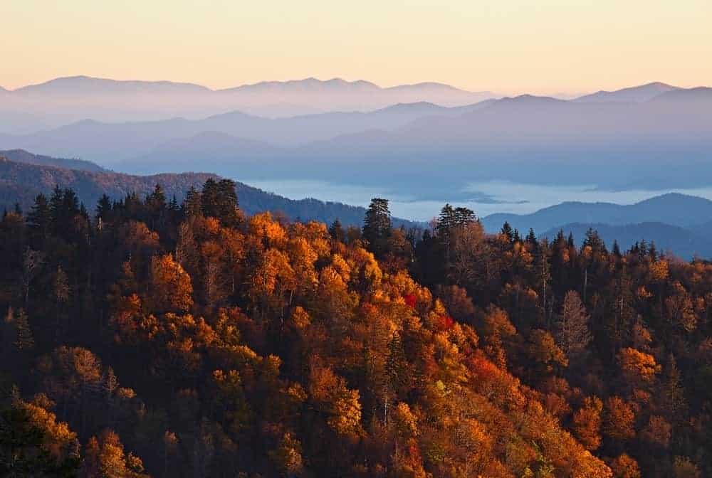 The Gatlinburg fall colors at sunrise.