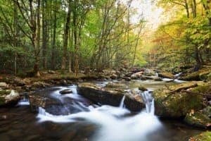 Beautiful stream in the Smoky Mountains during fall.