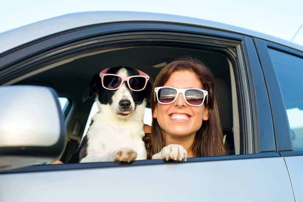Woman and her dog both wearing sunglasses look out car window on vacation.