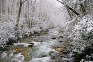 Big Creek covered in snow in the Smoky Mountains