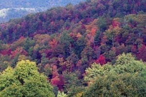 Vibrant fall colors in the Smoky Mountains.