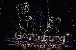 A Christmas lights display in Gatlinburg depicting bear cubs.