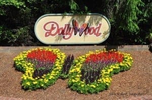 The Dollywod sign and butterfly flower arrangement at the park's entrance.