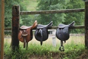 Saddles at saddle up pigeon forge