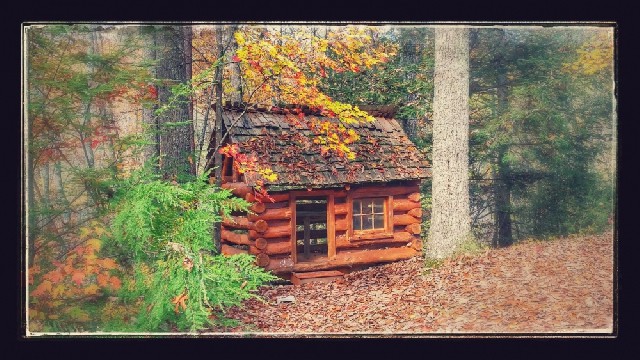 Appalachian Escape Cabin