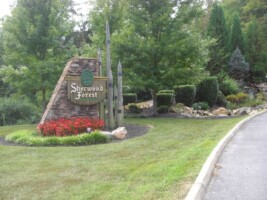 Luxury Log Cabin Pigeon Forge