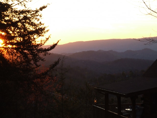 Bearly Escape Log Cabin