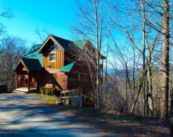 Bearly-A-Care Log Cabin