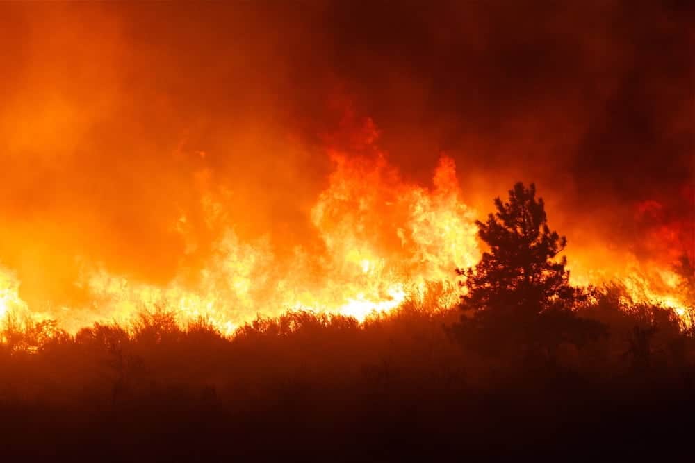 A forest fire burning the Smoky Mountain scenery.