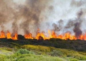 A forest fire in the mountains.