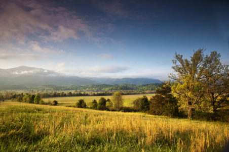 Amazing View in Cades Cove