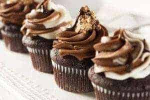 A row of delicious chocolate cupcakes.