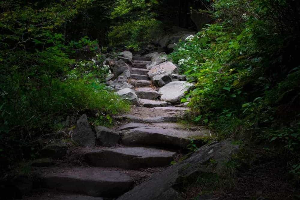 Forney Ridge Trail is one of the hidden gems in Gatlinburg TN.