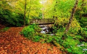 Fall leaves line the path to a scenic bridge in the Great Smoky Mountains National Park.