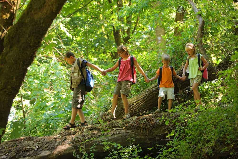 Kids walking across a log in the Smoky Mountains