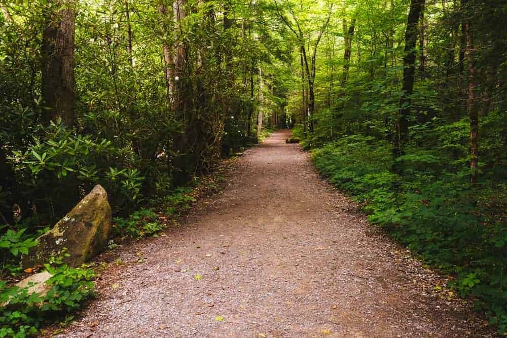 One of the most popular hikes in the Smoky Mountains.