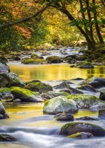 Quick Facts About the Great Smoky Mountains