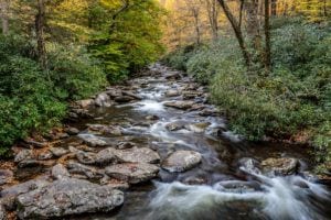 Alum Cave Creek in the Smoky Mountains.