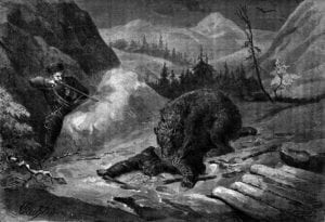 Engraved illustration of a man shooting a bear.
