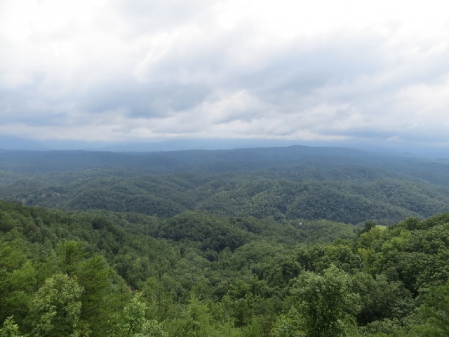 The view
