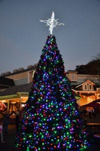 Christmas tree at Dollywood