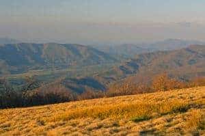 Gregory Bald overlooking Cades Cove.