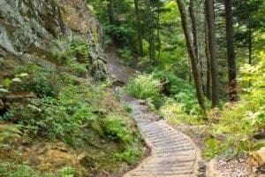 A staircase along the Alum Cave Trail in the Smoky Mountains.